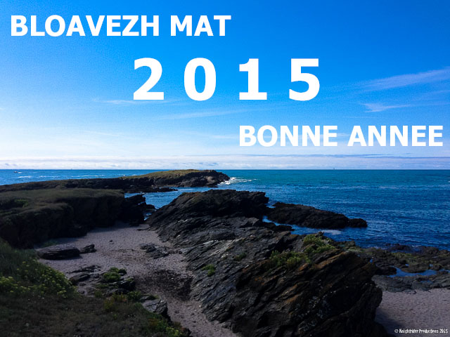 Voeux 2015